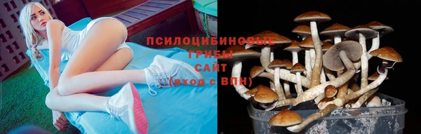 спайс Арсеньев