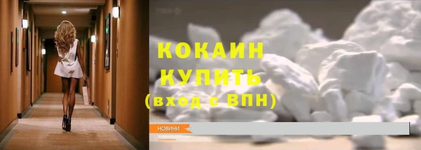 спайс Арсеньев