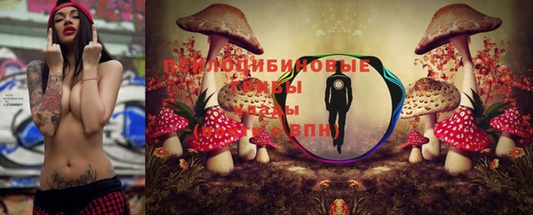 ALPHA-PVP Аркадак